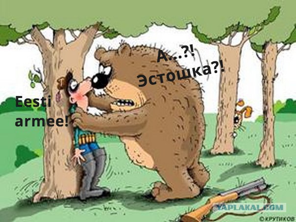 На рекламном постере эстонской армии изобразили скалящегося медведя