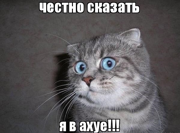 Итоги первого матча ЧМ 2018. Сборная России разгромила Саудовскую Аравию