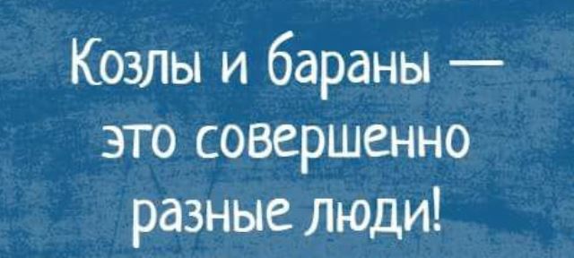 Подборка интересных и веселых картинок