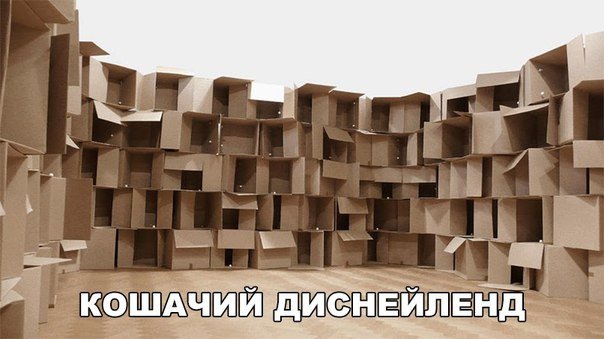 Не очень адекватный юмор