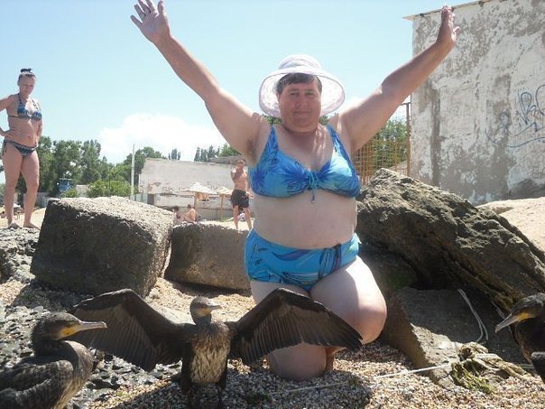 Скотсет, подборка разной дичи