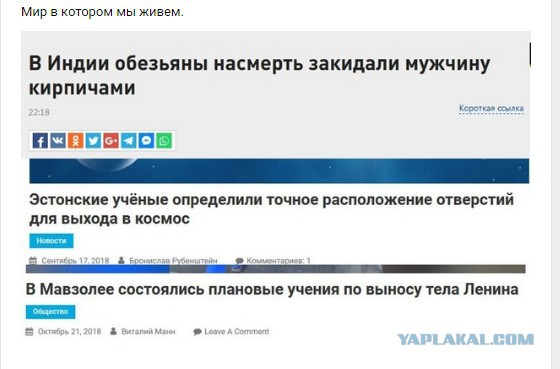 Смешные комментарии из социальных сетей 02.11.2018