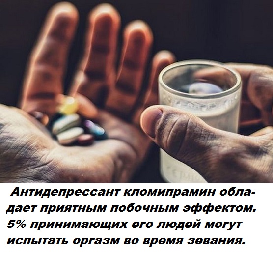 Подборка бесполезных фактов