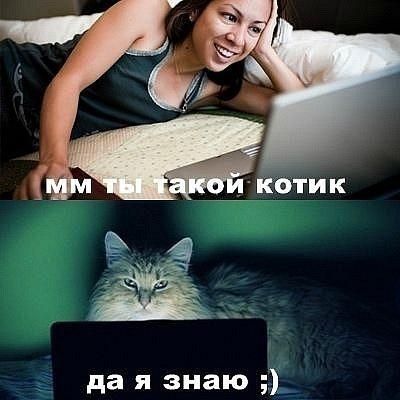 Котовторник в "КотоГетто"