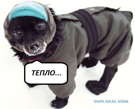 Пост суровой зимы