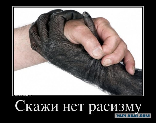Почему у африканцев темная кожа
