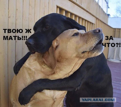 Панин переезжает в США