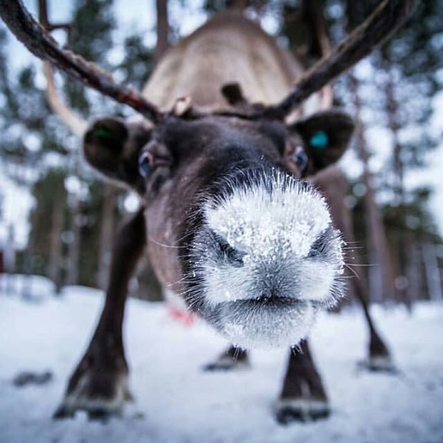 Фотоинтересности