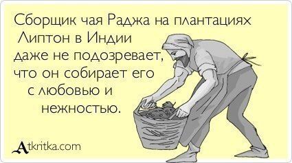 Чуток картинок 07.07.19