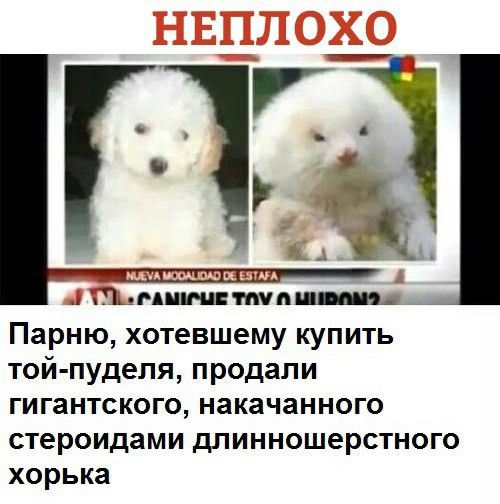 Чуток картинок! 11.08.19