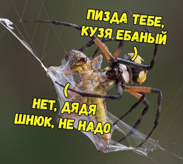 Картинки с претензией на юмор. Старые - 2