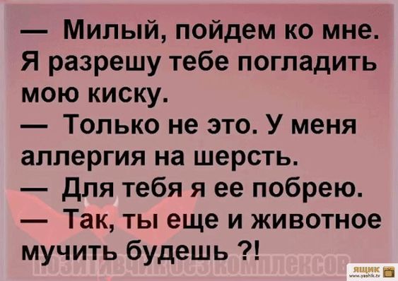 Прикольные картинки и фото с надписями и коментами????