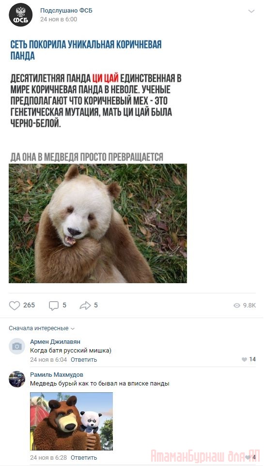 Комментарии к постам в разных группах, которые вызвали улыбку