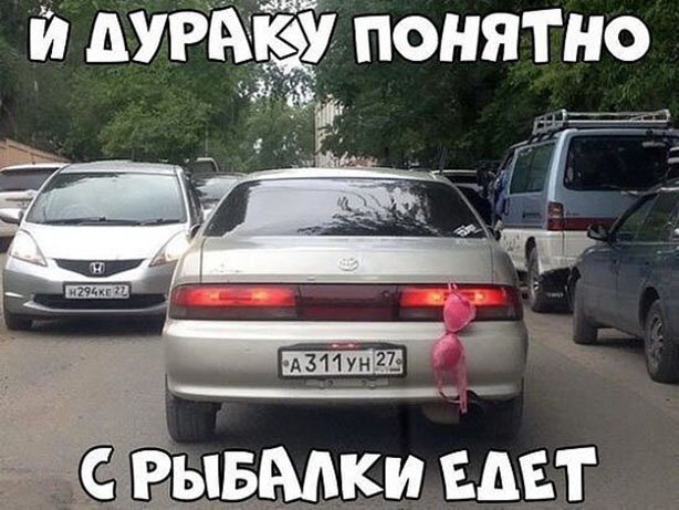 Бредзона 12.01.20