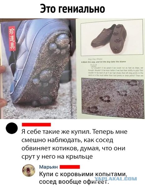 Бредзона 04.03.2020