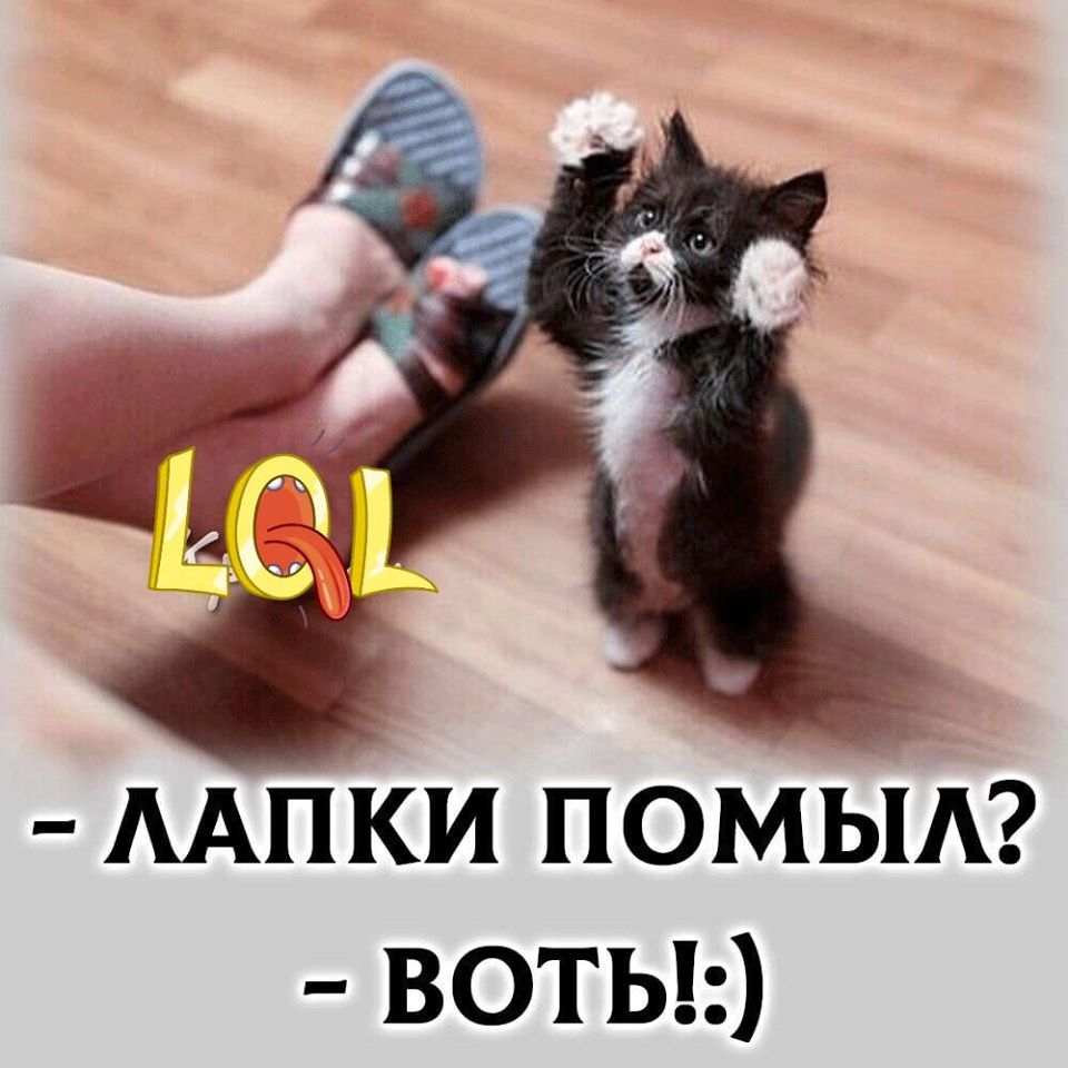 14182054.jpg