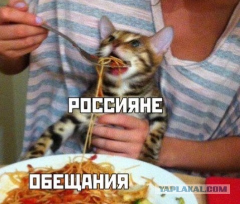 В Совфеде заявили, что в России невозможно умереть с голоду