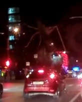 Представь, он влетел в окно тебе на шею или лицо...