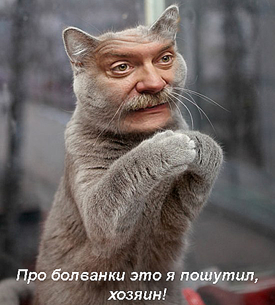 Чесна, чесна, хозяин, это не я ...