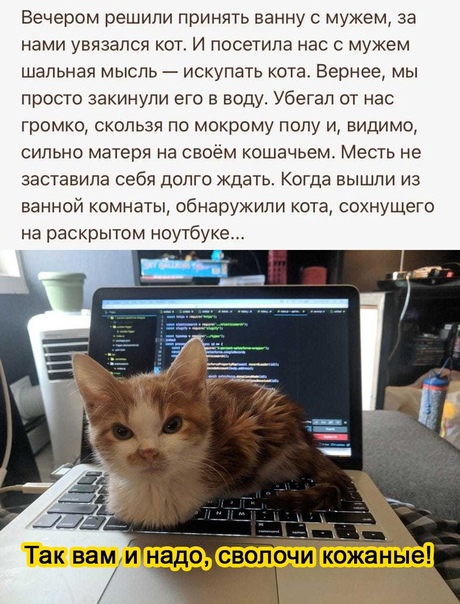 Картинки и мемы для настроения 23.06.2021