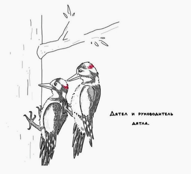 Картинки и мемы для настроения 26.08.2021