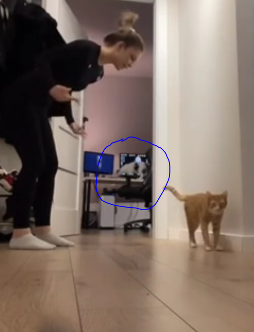Сейчас мы разучим с вами упражнение, которое я покажу...