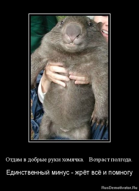 Долгожданная встреча