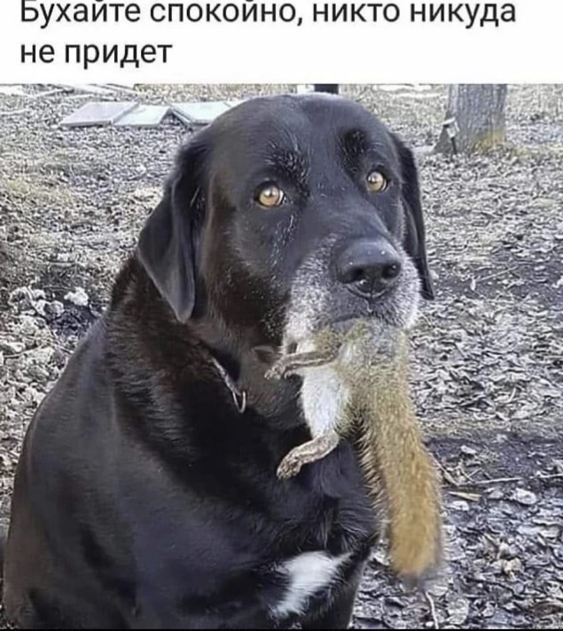 Картинки для настроения с надписями и без