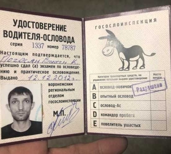 Так себе картинки 07.04.22