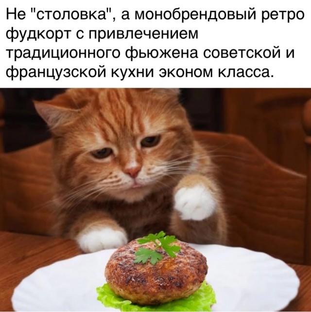 Картинки и мемы, всем хороших выходных