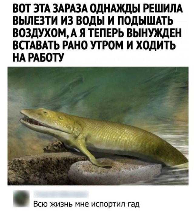 Так себе картинки 25.05.22