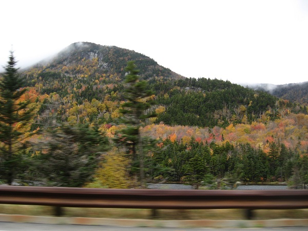 Деревенская Америка