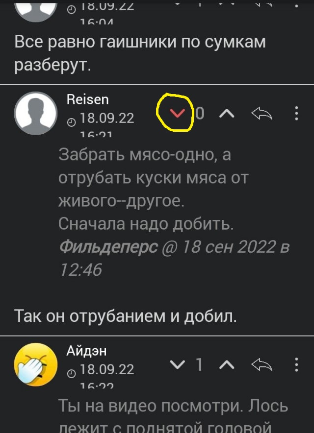 "Жизнь такая, что выпить хочется."