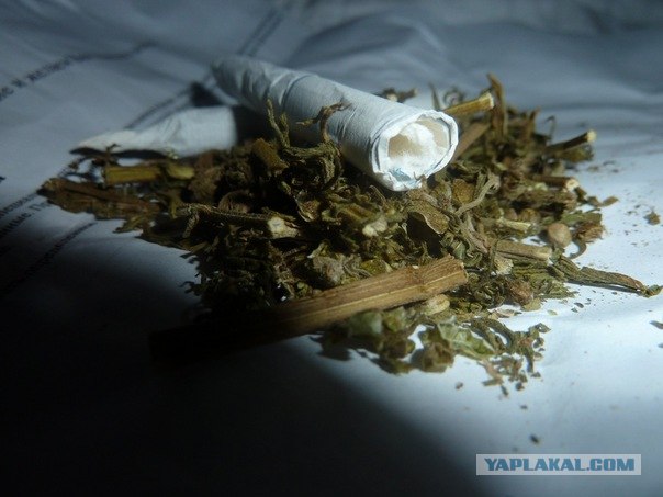 AFRICA - (Эфиопия,Кения,Танзация) 4-16 ноября 2011