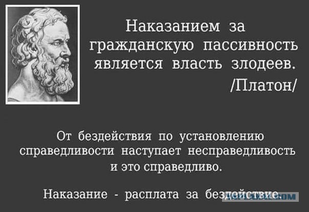 Онжеребенок
