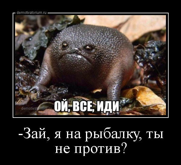 Народная меДИЧина 3009