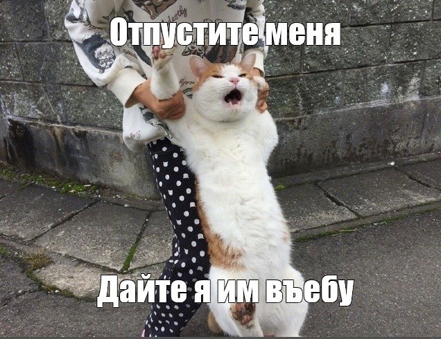 Немного крепостного права