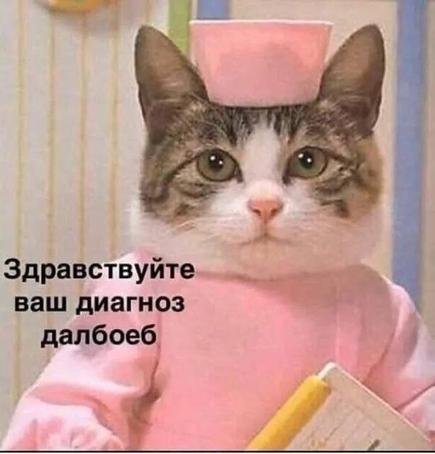 Медведев разозлился на Зеленского, анонсировавшего атаку на Крым