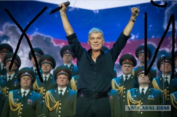 Ясные дни забрал себе: Миллиарды из бюджета Газманову и другим артистам, а бронижилеты в кредит и всем народом собирают