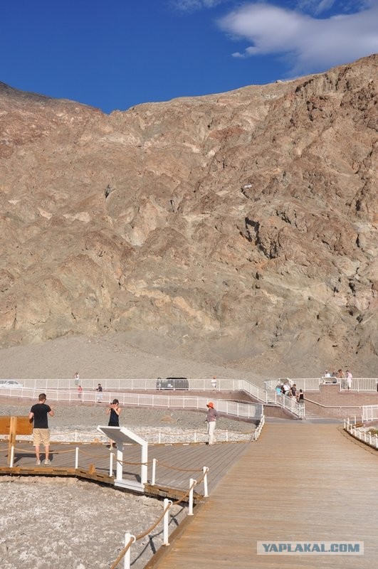 Ford Mustang напрокат