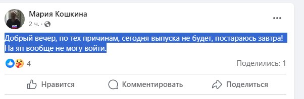 Жизнь домашнего приюта для котеек 470
