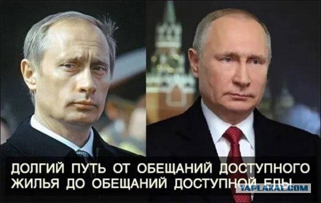 Правительство РФ обнулило на 2024 год пошлины на ввоз замороженного мяса кур
