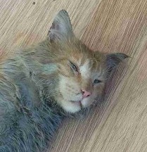 Вот, пришёл