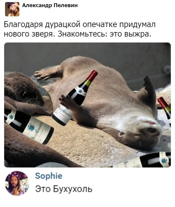 Весёлый полтишок 02.07.24