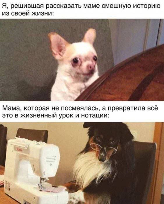 Веселые картинки к маленькой пятнице (25.12)