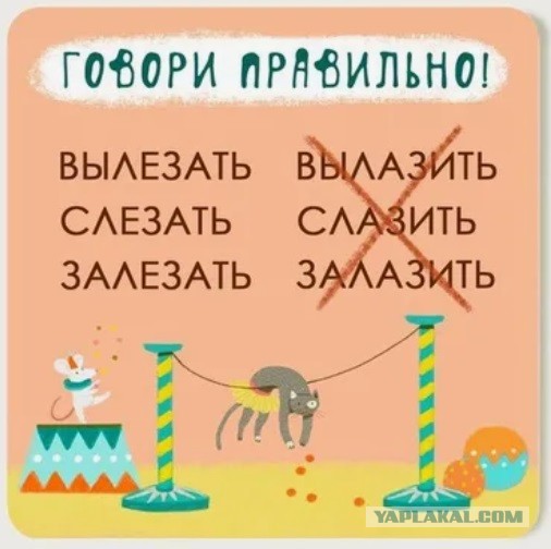 Шестиклассник ударил учительницу по лицу в Иркутской области