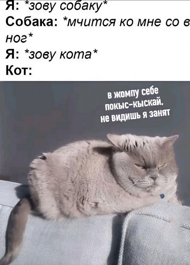 Картинки для деградации 70 (разной степени свежести)