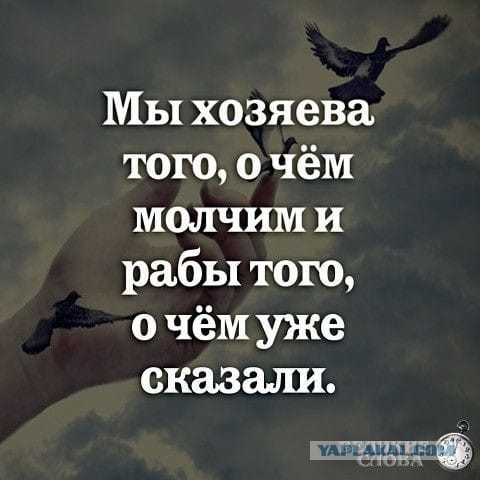 Так себе картинки 15.11.25