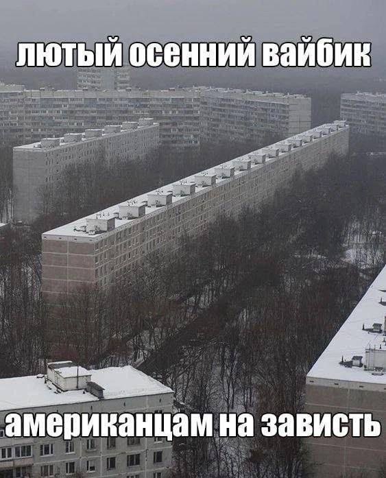 Веселое настроение в картинках (19.11.2025)