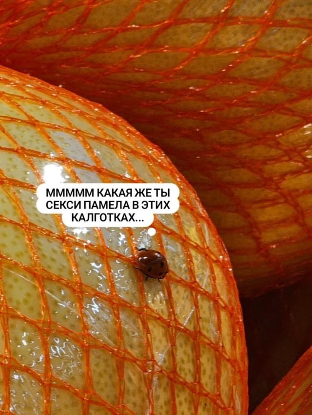 Картинки для деградации 139 (разной степени свежести)